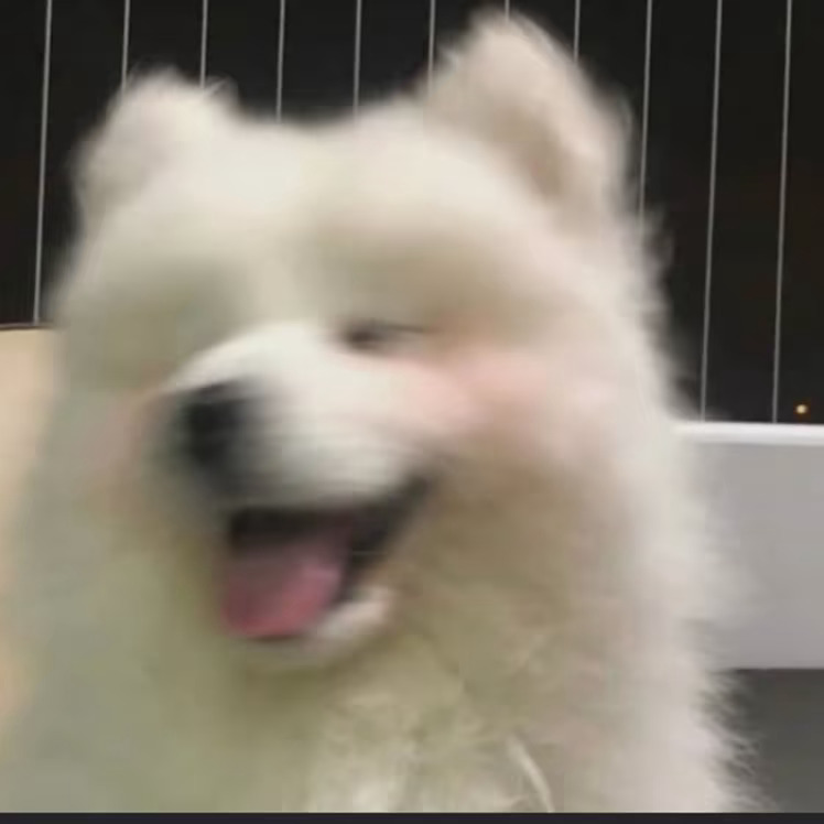 【闲聊】这波跟着大部队走游戏攻略_手游下载  第2张