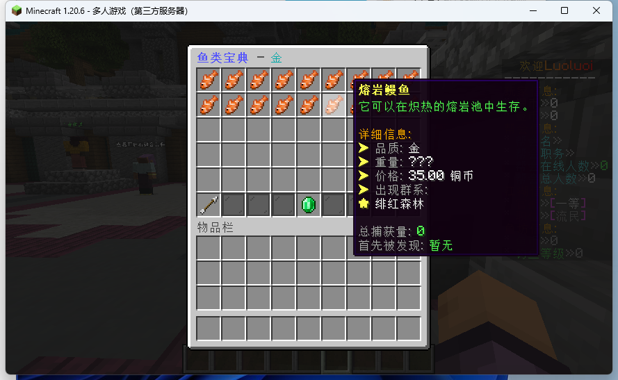 【服务器】[1.20.X]DL｜空岛｜生存｜古代｜养老互通游戏攻略_手游下载  第6张