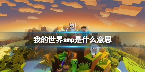 【游戏攻略】《我的世界》smp意思介绍游戏攻略_手游下载 第1张 【游戏攻略】《我的世界》smp意思介绍游戏攻略_手游下载 第1张