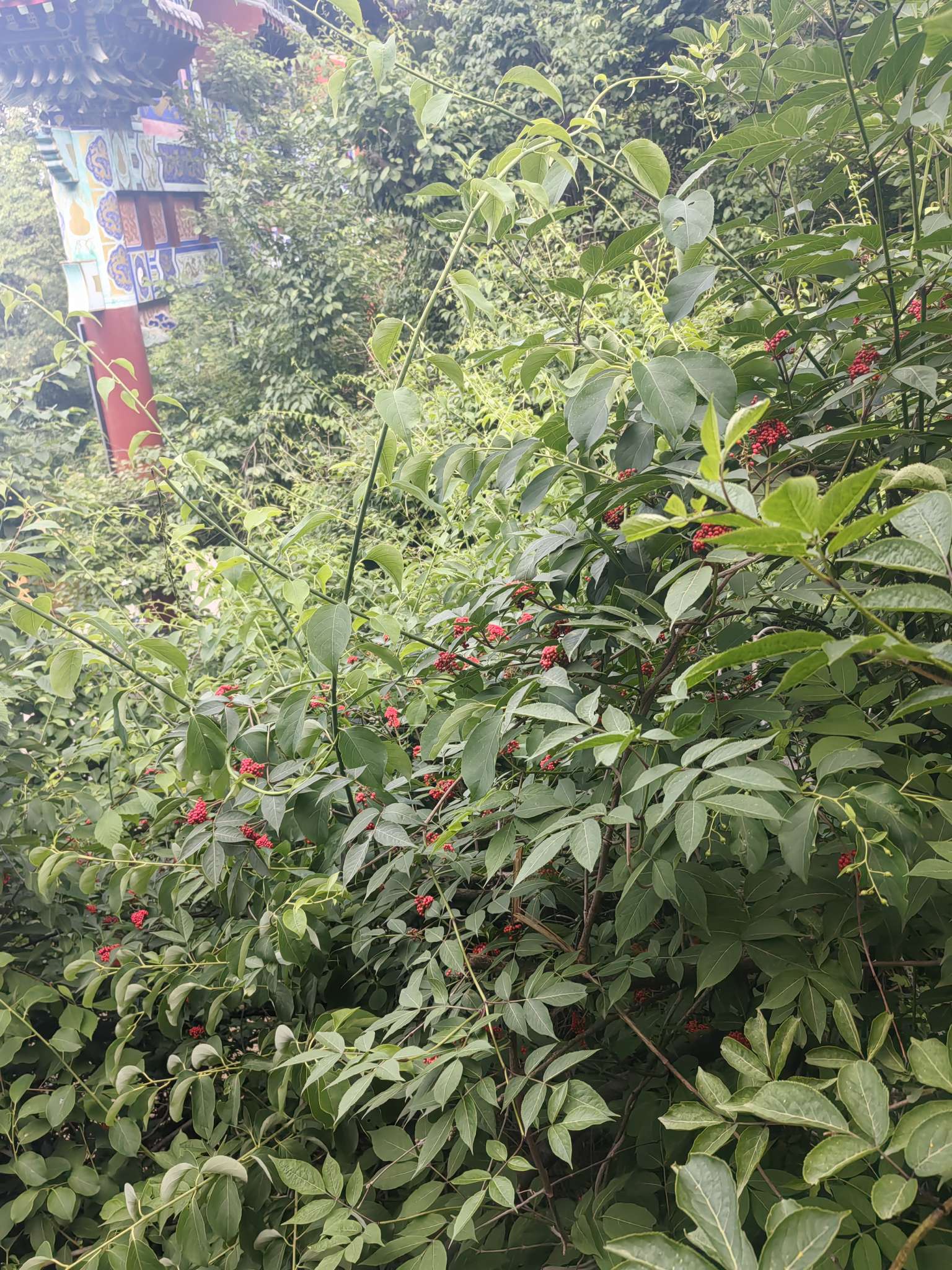 【王者女神】最累的居然是回去的大巴车游戏攻略_手游下载  第2张