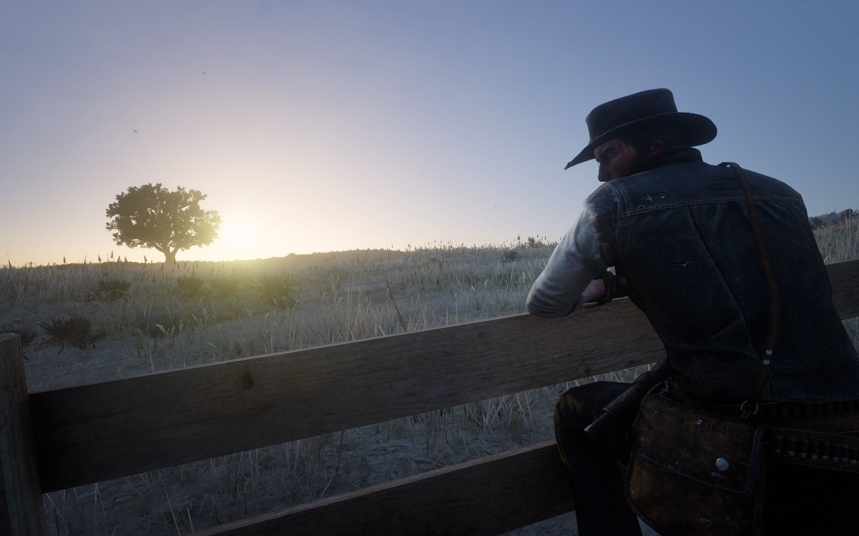 【端游资源】荒野大镖客2全DLC+神秘小姐姐MOD游戏攻略_手游下载 第3张 【端游资源】荒野大镖客2全DLC+神秘小姐姐MOD游戏攻略_手游下载 第3张