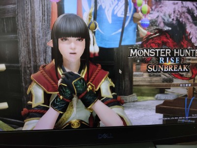 【端游推荐】怪物猎人:崛起（最新版+全DLC+联机补丁）游戏攻略_手游下载
