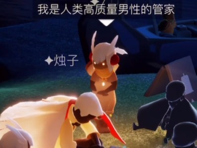 关于光遇知名up烛子zw视频的信息