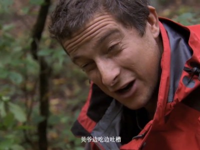 荒野求生男女挑战原始森林(荒野求生男女挑战原始森林是什么节目)