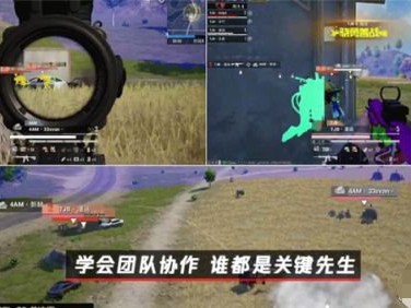 【吃鸡派对】和平精英团队协作攻略 如何打配合游戏攻略_手游下载