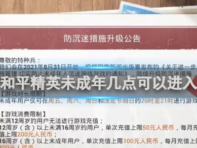 【攻略】和平精英未成年进入时间介绍游戏攻略_手游下载