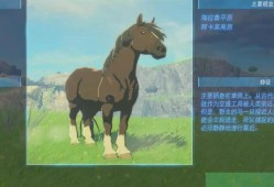 【快爆攻略】《塞尔达传说王国之泪》坐骑有哪些？游戏攻略_手游下载