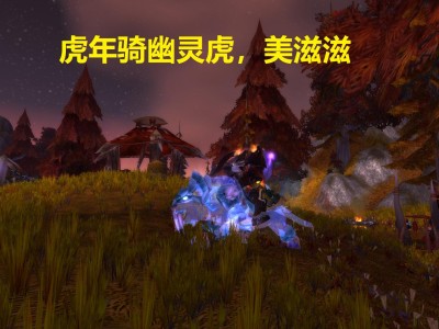 魔兽世界幽灵虎价格走势_魔兽世界幽灵虎是哪个版本出的