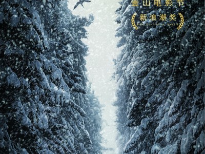 雪暴(雪暴豆瓣)