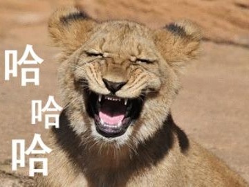 王者荣耀啊游戏攻略_手游下载
