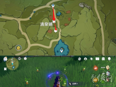 原神白萝卜在哪里收集，原神白萝卜在哪里收集 白萝卜采集路线一览