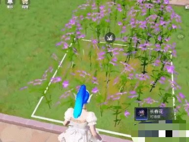 【吃鸡派对】花圃种子获取方法介绍游戏攻略_手游下载
