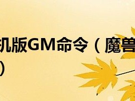 魔兽世界单机版gm代码，魔兽世界单机版gm代码 大芒果