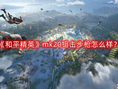 【攻略】mk20狙击步枪强度分析游戏攻略_手游下载