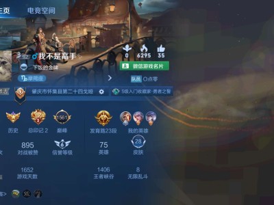 【交流】王者找队友五排车队游戏攻略_手游下载