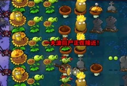 【游戏攻略】植物大战僵尸杂交版冒险模式第5关攻游戏攻略_手游下载