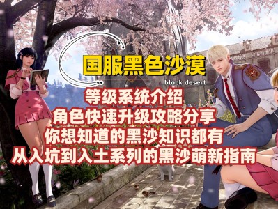 黑色沙漠台服攻略(黑色沙漠台服入坑指南)