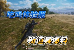 和平精英体验服正版_正版的和平精英体验服