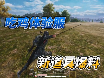 和平精英体验服正版_正版的和平精英体验服