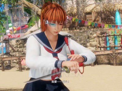 【端游推荐】死或生6 中文 v1.22a+84DLC【阿里云盘】游戏攻略_手游下载