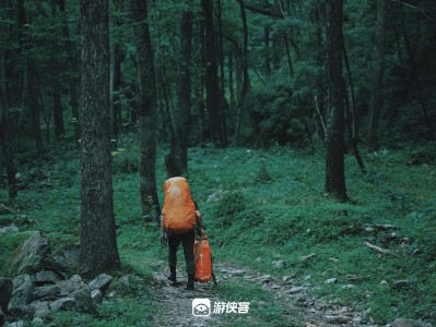 荒野求生300天(荒野求生300天百度云)
