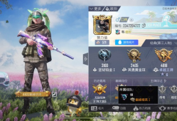 和平精英兵团游戏攻略_手游下载
