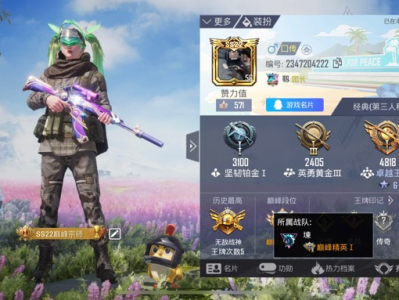 和平精英兵团游戏攻略_手游下载