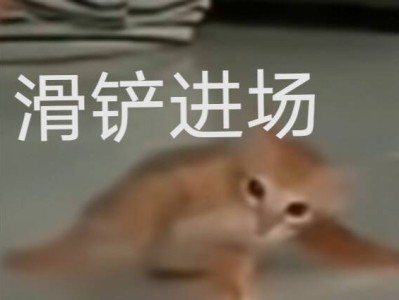 【闲聊】梭哈失败案例游戏攻略_手游下载