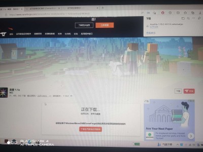 【求助】这是为什么呢游戏攻略_手游下载