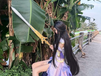 【立冬】情绪很多语言又有限.游戏攻略_手游下载