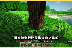 我的世界惊变100天叶绿矿怎么获得_我的世界惊变100天植物能量怎么获得