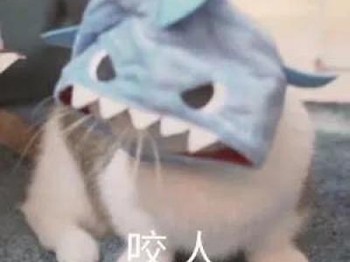 【交流】救命，做梦都歪了小提游戏攻略_手游下载
