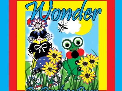 wonder(wonder的用法)