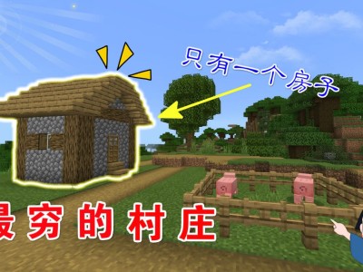 我的世界村庄种子一出生就在村庄_我的世界114出生在村庄的种子