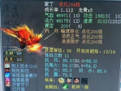 大话西游2大吕，大话西游2大吕实战