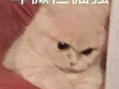 求大神次一个贪婪洞窟免费版的链接，孩子找了好久游戏攻略_手游下载