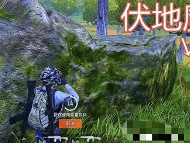 【吃鸡派对】和平精英伏地魔攻略：成为绝地求生之王游戏攻略_手游下载