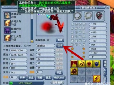 梦幻西游土豪第一人(梦幻西游土豪第一人叫什么)