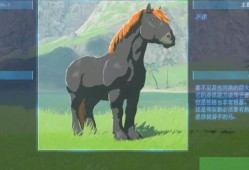 【快爆攻略】《塞尔达传说王国之泪》坐骑有哪些？游戏攻略_手游下载