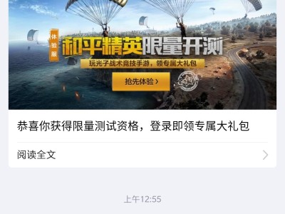 和平精英国际服游戏下载更新(和平精英国际服下载叫什么名字)