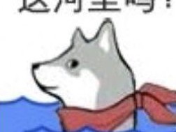 【求助】官服和B服有什么不一样吗？游戏攻略_手游下载