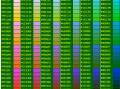 球球大作战名字颜色金色，球球大作战名字颜色619