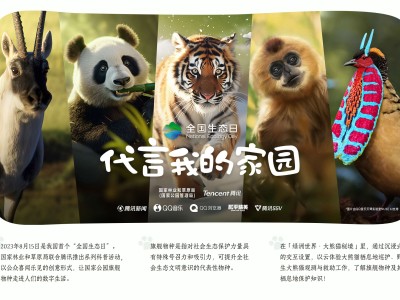 【资讯】大熊猫特刊 |下游戏攻略_手游下载