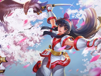 【王者美图】我又不是因为你们的评价才去当的英雄，是因为我想当才去当的。游戏攻略_手游下载