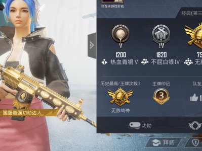 和平精英段位图片，和平精英段位图片青铜
