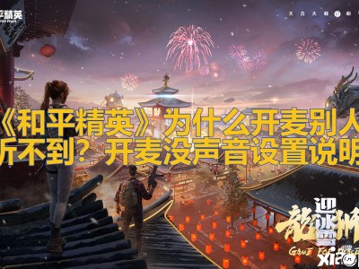 【攻略】为什么开麦别人听不到？开麦没声音设置说明游戏攻略_手游下载