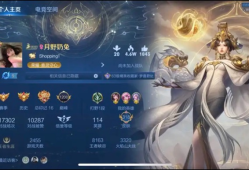 迟来的阳光，拯救不了枯萎的向日葵游戏攻略_手游下载