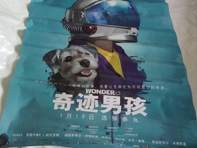 奇迹男孩电影简介，奇迹男孩电影简介英