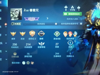 找五排套路队友v区每晚8点发车游戏攻略_手游下载