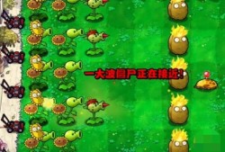 【游戏攻略】植物大战僵尸杂交版冒险模式第3关攻略游戏攻略_手游下载